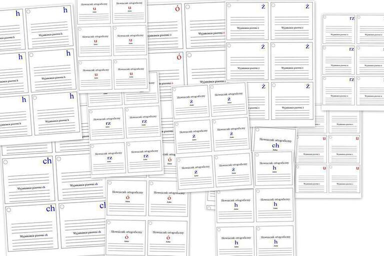 SŁOWNICZKI PDF