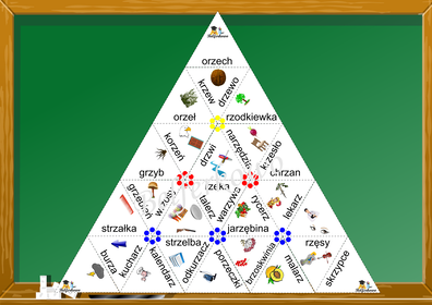 PIRAMIDA RZ PDF