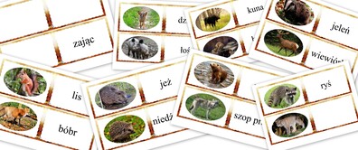 ZWIERZĘTA DOMINO PDF