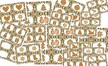 PIERNIKOWE DOMINO PDF
