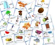 REBUSY ORTOGRAFICZNE RZ PDF