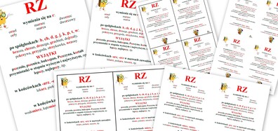 ZASADY PISOWNI RZ PDF