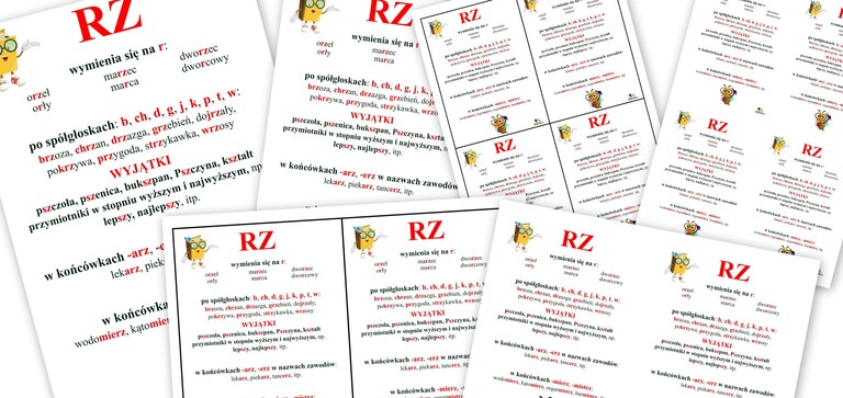 ZASADY PISOWNI RZ PDF