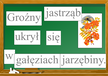 ZDANIA Z RZ PDF