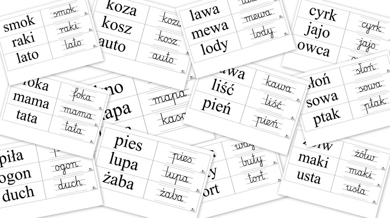 FISZKI 4L PDF (1)