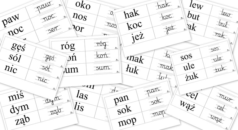 FISZKI 3L PDF (1)
