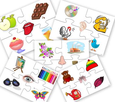 ZMYSŁY PUZZLE PDF
