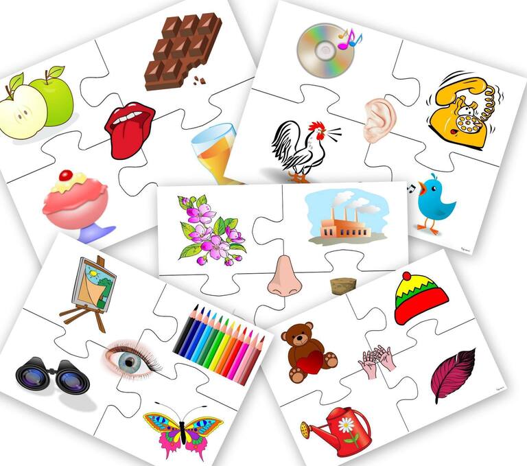 ZMYSŁY PUZZLE PDF