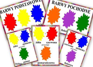 BARWY PDF