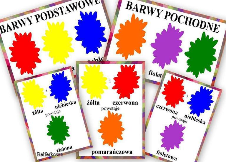 BARWY PDF