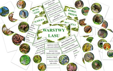 WARSTWY LASU DOBIERANKA PDF