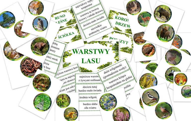 WARSTWY LASU DOBIERANKA PDF