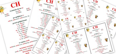 ZASADY PISOWNI CH PDF