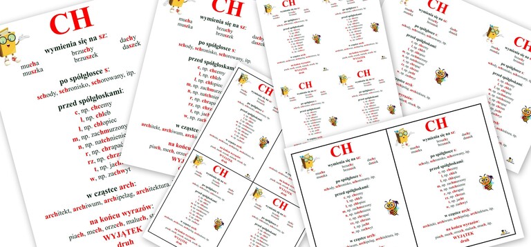ZASADY PISOWNI CH PDF