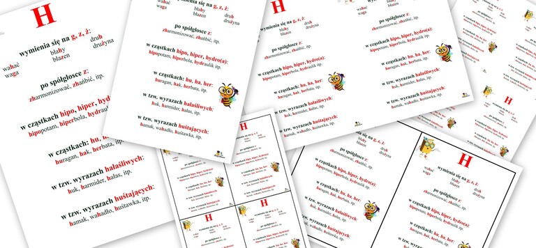 ZASADY PISOWNI H PDF