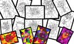 WITRAŻE Z KWIATAMI PDF (2)