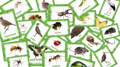 MIESZKAŃCY ŁĄK PDF