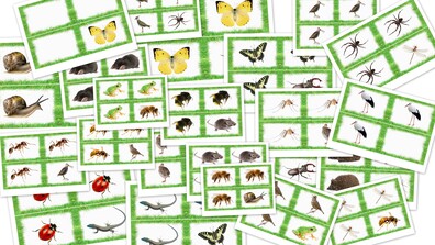 MIESZKAŃCY ŁĄKI DOMINO PDF