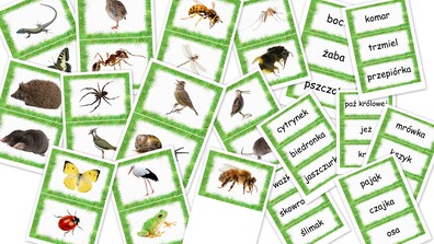 MIESZKAŃCY ŁĄKI DOBIERANKA 2 PDF