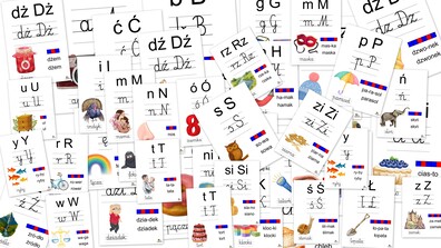 MONOGRAFIA LITER PDF