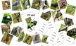 KWIATY I PTAKI ZESTAW PDF (2)