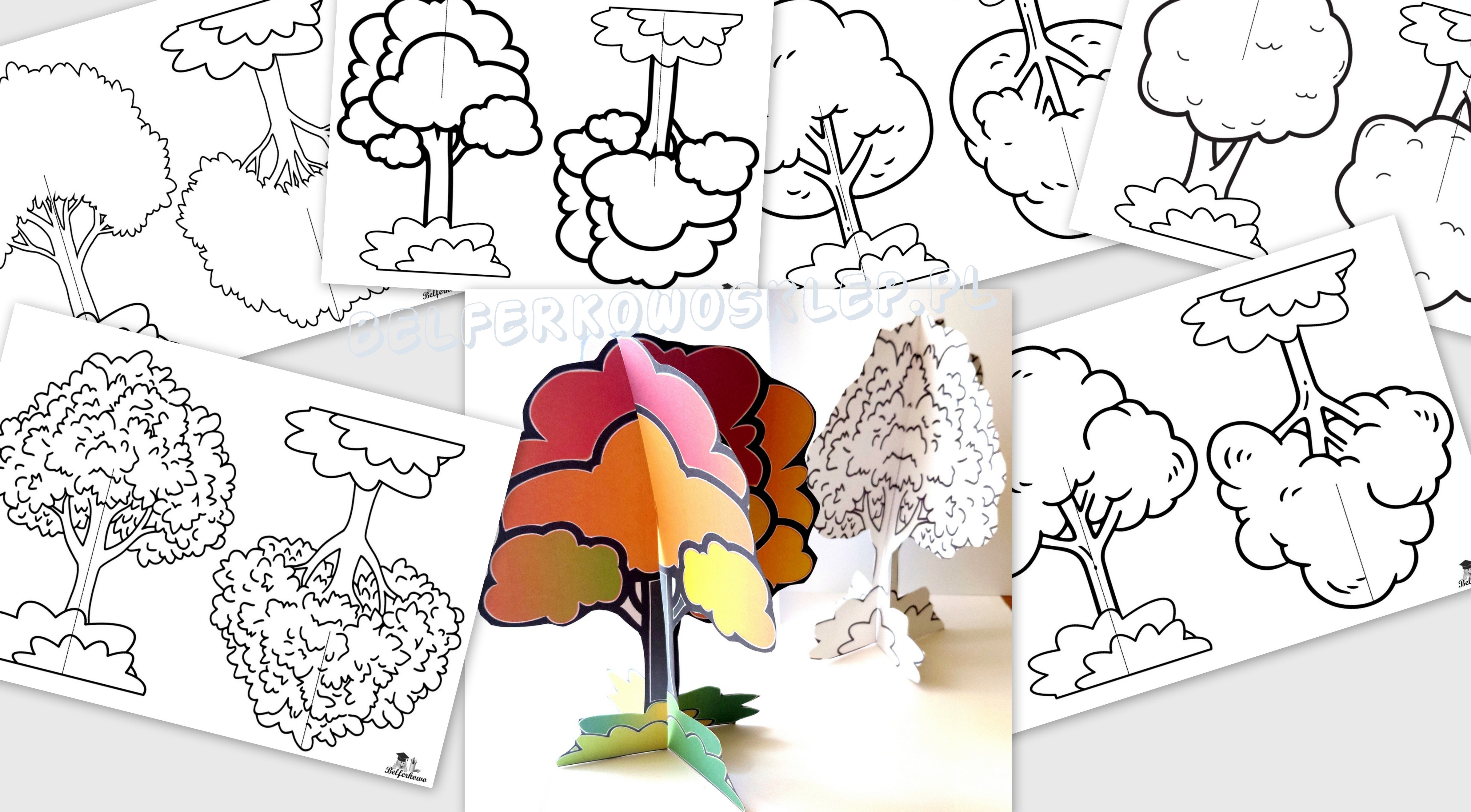 MODELE DRZEW DO SKŁADANIA PDF