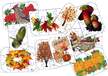 JESIENNE PUZZLE PDF