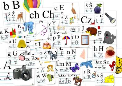 MONOGRAFIA LITER PDF