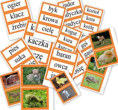 ZWIERZĘTA I ICH MŁODE DOBIERANKA PDF