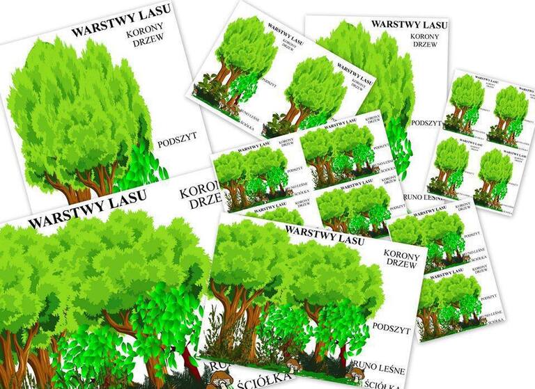 WARSTWY LASU PDF