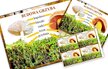 BUDOWA GRZYBA PDF