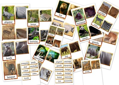 ZWIERZĘTA EGZOTYCZNE FRAGMENCIAKI PDF