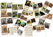 ZWIERZĘTA EGZOTYCZNE FRAGMENCIAKI PDF