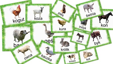 ZWIERZĘTA ŻYJĄCE W GOSPODARSTWIE WIEJSKIM PDF
