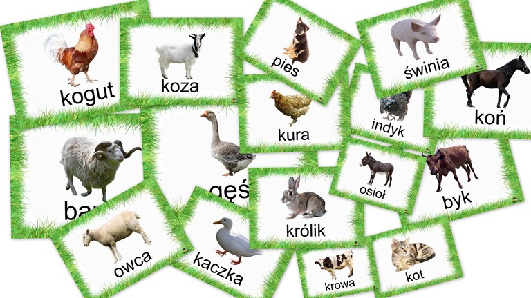 ZWIERZĘTA ŻYJĄCE W GOSPODARSTWIE WIEJSKIM PDF