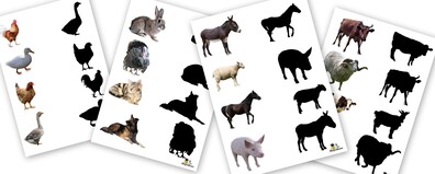 ZWIERZĘTA CIENIE PDF