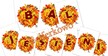 BAL JESIENI PDF