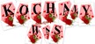 KOCHAMY WAS PDF