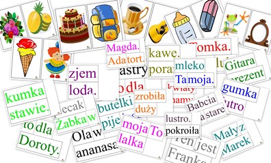 ZDANIA PDF