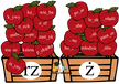 JABŁKA ORTOGRAFICZNE RZ Ż PDF (2)