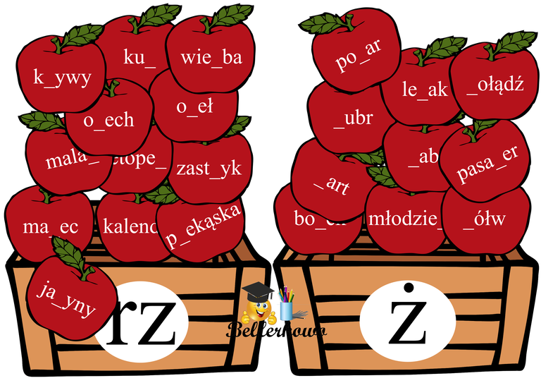 JABŁKA ORTOGRAFICZNE RZ Ż PDF (2)