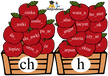 JABŁKA ORTOGRAFICZNE CH/H PDF (2)