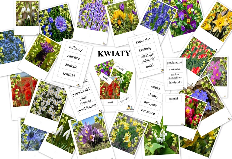 KWIATY KSIĄŻECZKA PDF