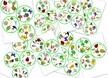 WIOSENNE DOBBLE PDF